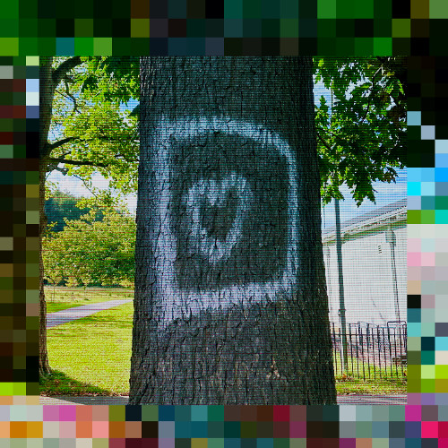 Connection