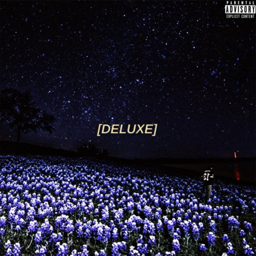 NO PRXMISES (prod. lordevoure)