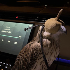 تفارق—عبدالمجيد