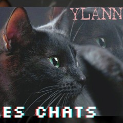 YLANN - Les chats sont gris