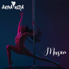 Animanera - Musica  SPOTIFY.wav