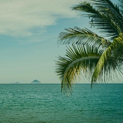 Tropical breeze (version 1)