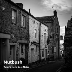 Nutbush (Monument Remix)