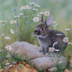 ratrace90210 - springmix