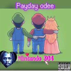 Nintendo 304