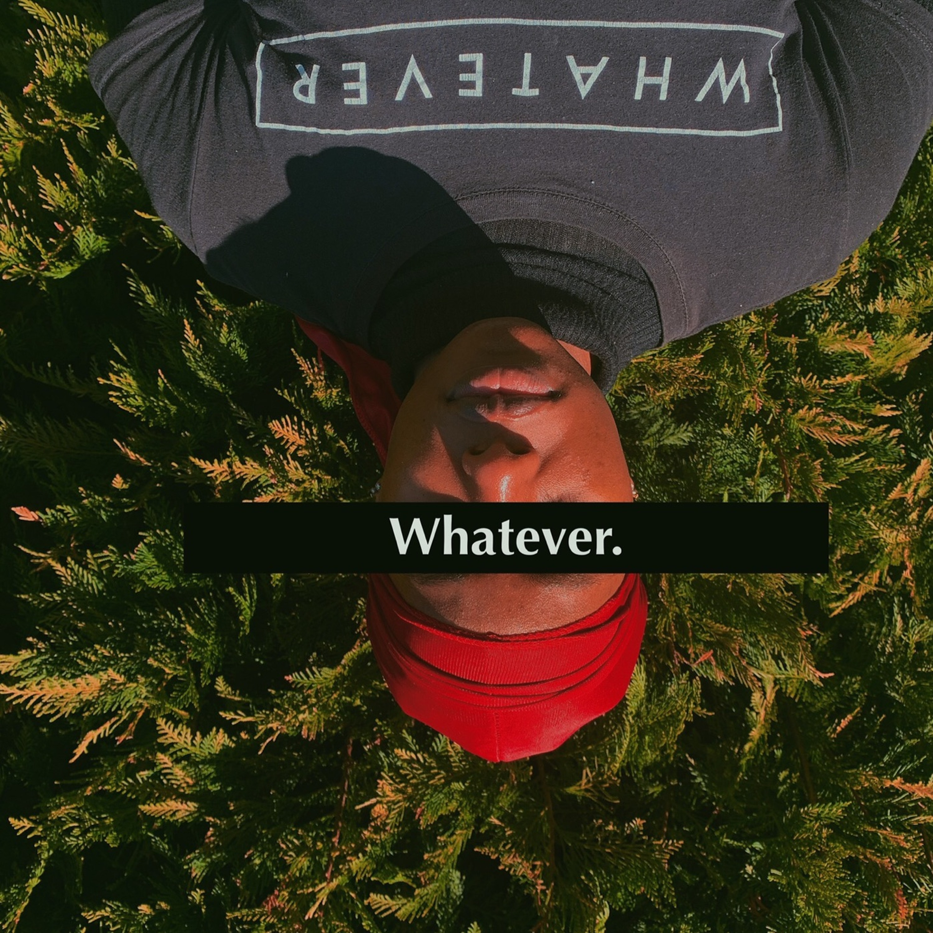 Podcast About Podcasts