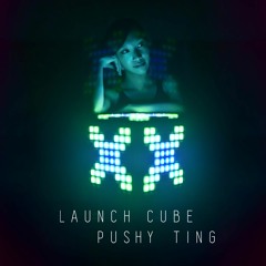 The Singularity of Plural Rice