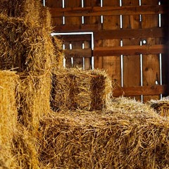 Den of Bales