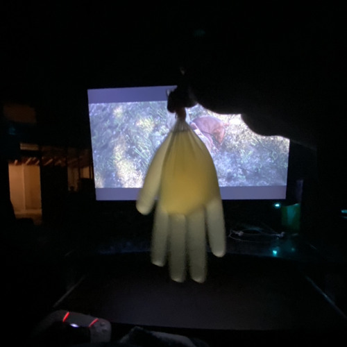 PIZZGLOVE (PROD. Eustice)