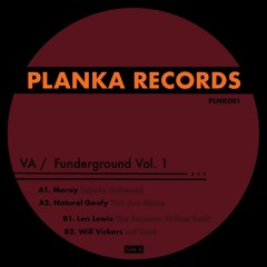 PREMIERE: Will Vickers - Arf Tone [PLNK001]