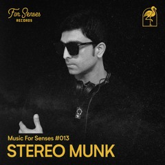 MUSIC FOR SENSES PODCAST #13 || STEREO MUNK