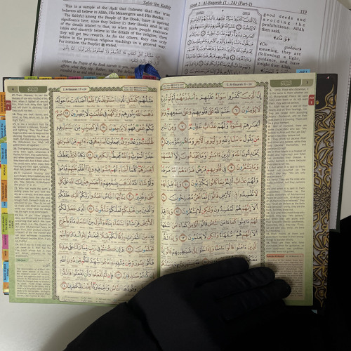 Copy of Tafseer As Sa'dee-Mustafa George