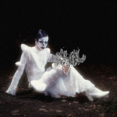 T-TAPES//NACA MIXES: 0011 ANÍMALA