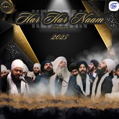 Deho Sandesro Kahio Priye Kahiho | Bhai Amandeep Singh UK | Har Har Naam Semagam 2025