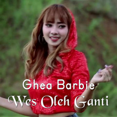 Wes Oleh Ganti