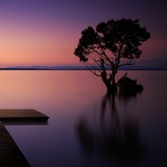 Gnarls Barkley - Crazy (Remix feat. S.T.D.N.)