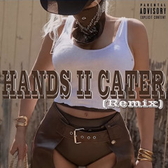 HANDS II CATER-BEYONCE (REMIX)