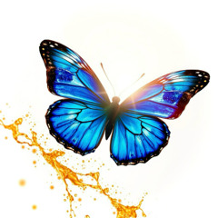 Vivere Libero