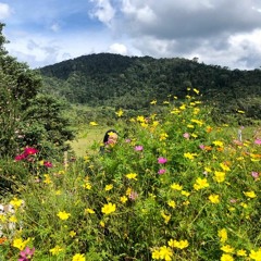 Jikustik - Untuk Dikenang