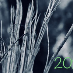 2021