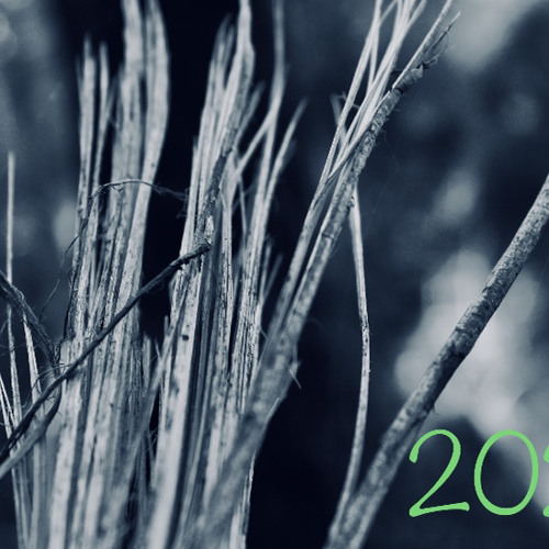 2021