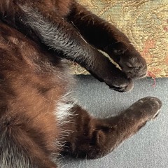 sunny days coming soon