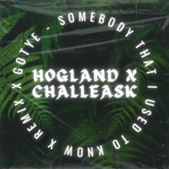 Gotye - Somebody That I Used To Know (Hogland X CHALLEASK Remix) [Filtered Due To Copyright]