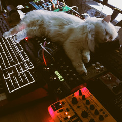 -_ a live mix for early spring and sunshine _-