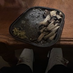 TDMATOAT p. d1pr0d Shirin