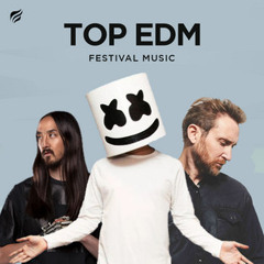 Best EDM 2025 🔥 Festival Anthems & Bangers