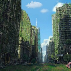 jungmaxxing