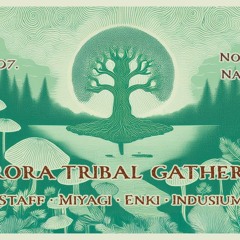 Live at Aurora Tribal Gathering-2024 09 07-Chillgressive mix