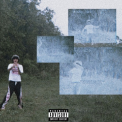 livin life prod zivo