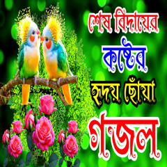 Mosjide Ro Palki Deki Ashlo Amar Barite New Gazal