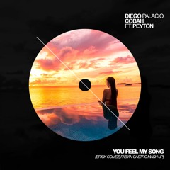 Diego Palacio, Cobah Ft. Peyton - You Feel My Song (Erick Gomez, Fabian Castro Mash Up)