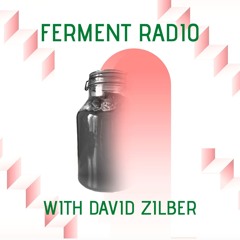 #36: Can ferments change the food system? (with David Zilber)