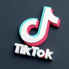 Reason Number 46 Why You Should Let Me Ride - TikTok Song Remix