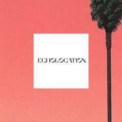 Rufus Du Sol - Sundream (Echolocation Remix)