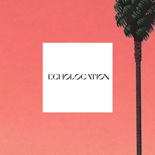 Rufus Du Sol - Sundream (Echolocation Remix)