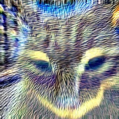 run from The Skin Peeler