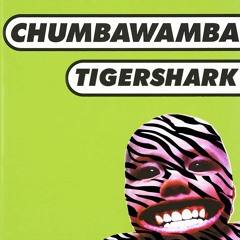 Amnesia [Tiger Cut] - Chumbawumba