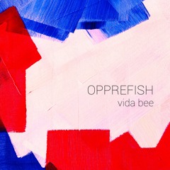 Vida Bee