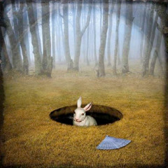 Rabbit Hole (Prod. Perkc)