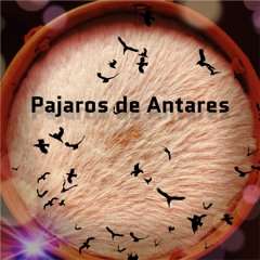 PAJAROS DE ANTARES