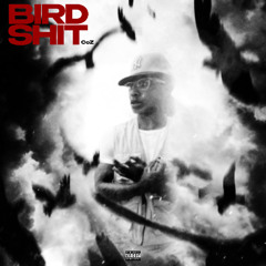 Bird Shit  [P.rayoffkey x dextah] (Song Wars)