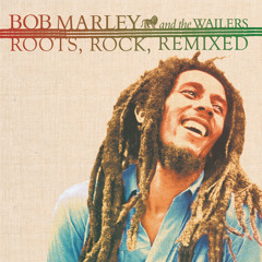 Lively up Yourself (Bombay Dub Orchestra Remix)