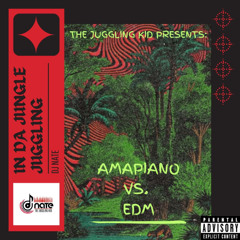 DJ Nate In Da Jungle Juggling [Amapiano Vs. EDM]