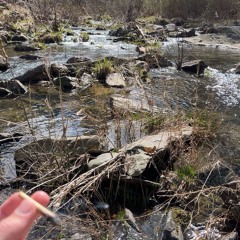 Beauty & A Beat ft. Jackchristman