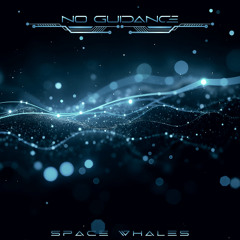 Drake, Chris Brown - No Guidance(Space Whales Flip)