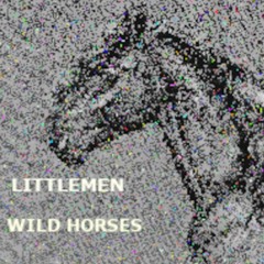 Wild Horses - Master V1